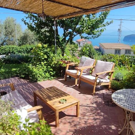 Lally'S Garden Bed & Breakfast ซอร์เรนโต ภายนอก รูปภาพ