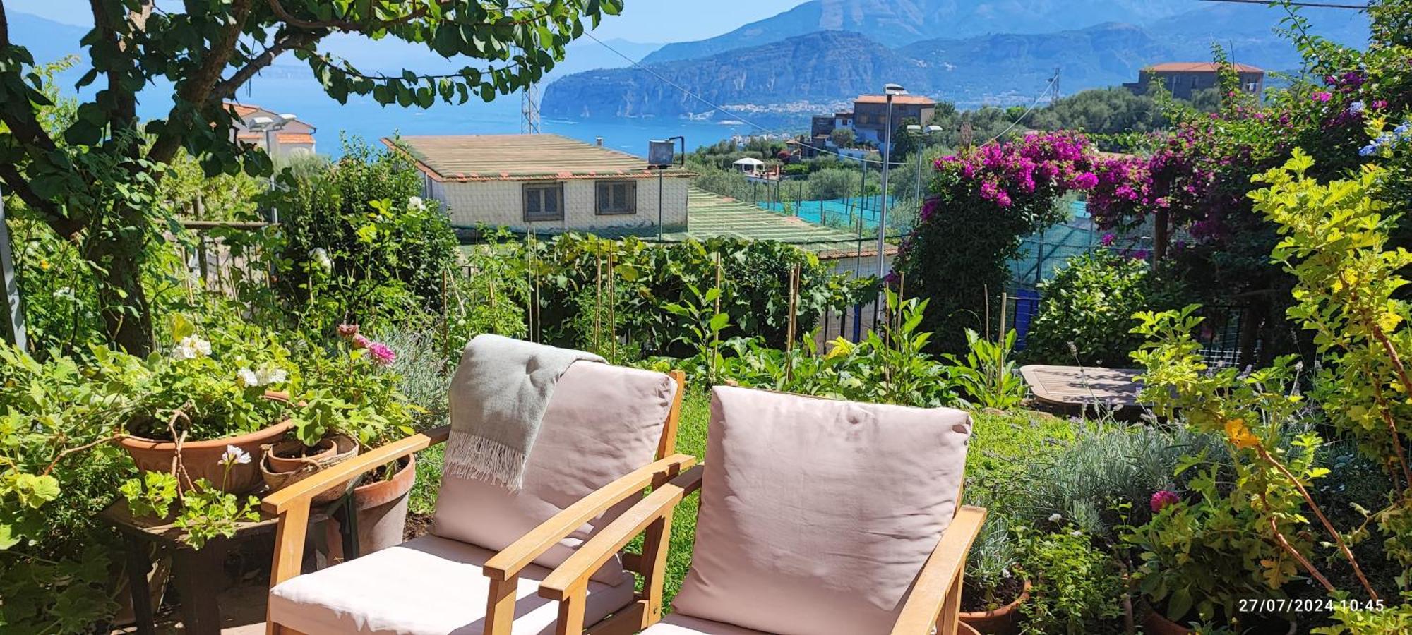 Lally'S Garden Bed & Breakfast ซอร์เรนโต ภายนอก รูปภาพ